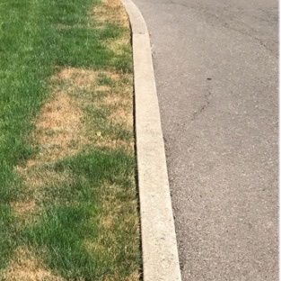 Dead grass on landscape edges