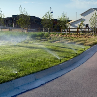 Green grass on landscape edges with Hunter nozzles