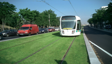 Rail Track with Grass 