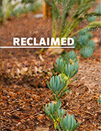 Reclaimed Water Solutions Cuthseet thumbnail